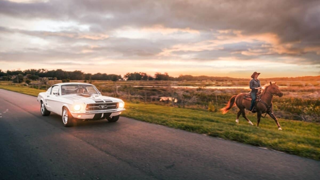 classic mustang
