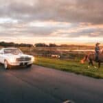 defender restoration