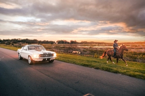 Classic Mustang driving alongside a cowboy on horseback