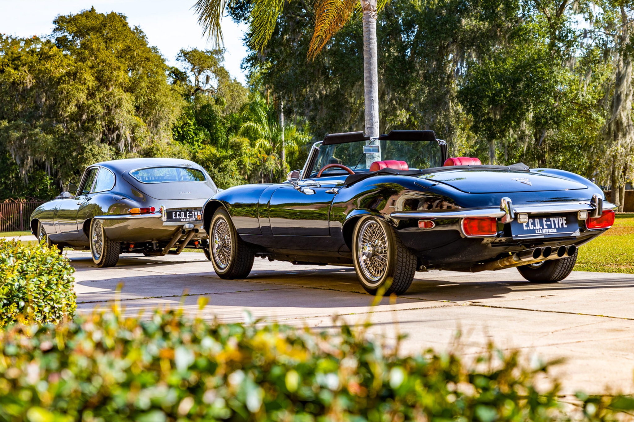 XKE Jaguars